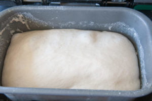 Leave the dough in the machine until finished the dough cycle and it rises double its original size.
