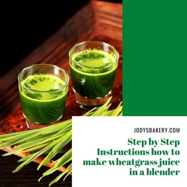 Step by Step Instructions how to make wheatgrass juice in a blender