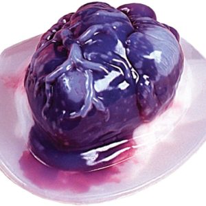 Heart Gelatin Mold Standard