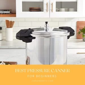 Best All American Pressure Canner For Every Purpose 2024 - Jody's Bakery