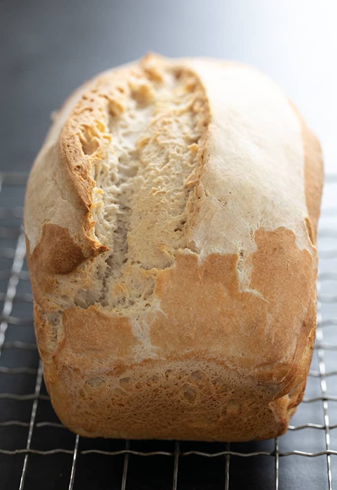 Gluten free sourdough bread machine recipe