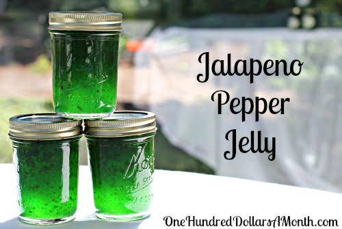 Pressure Canning Hot Pepper Jelly