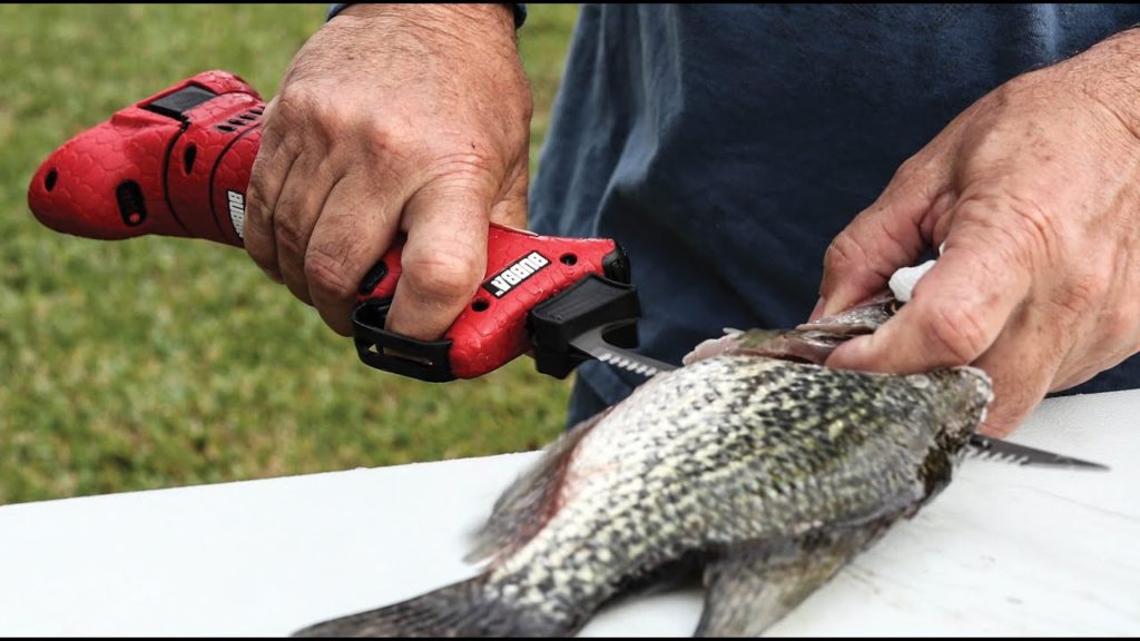 How to choose the best electric fillet knife for crappie Jody's Bakery