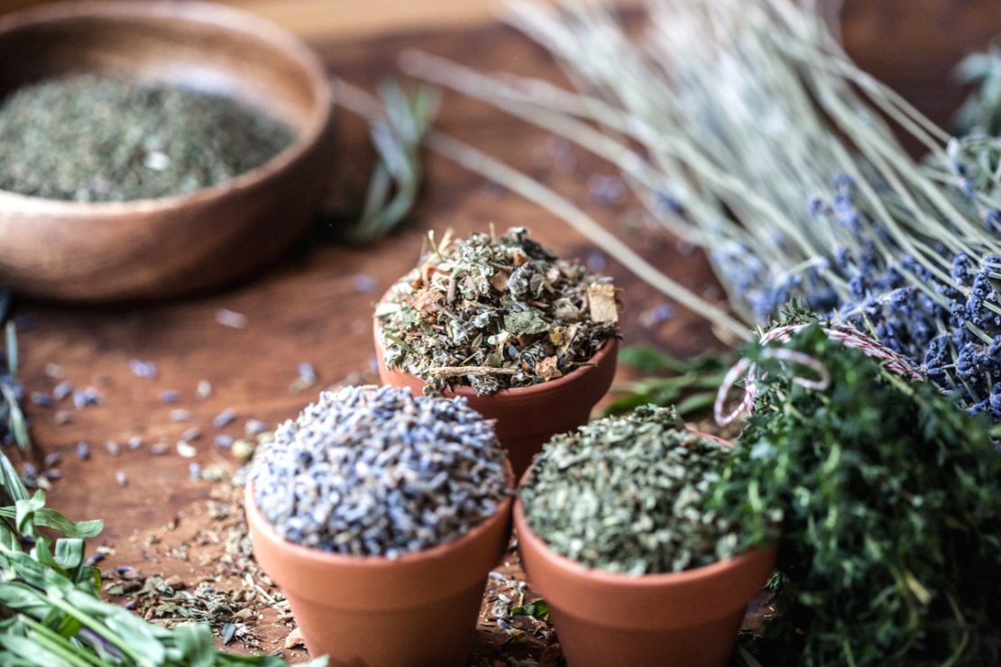 Is a food dehydrator good for herbs?