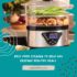 What You Need to Know About Food Steamers