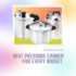Best Pressure Canner For Glass Top Stove