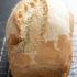 What is the best blender to puree food?
